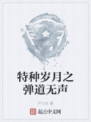 特种岁月之弹道无声好看吗