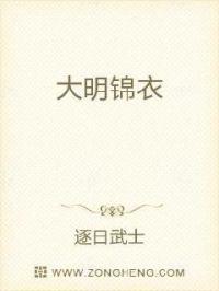 大明锦衣之暗夜风云免费观看