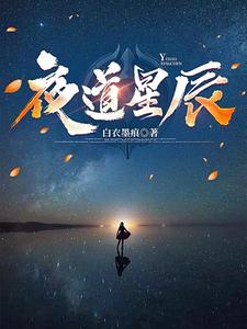 夜星辰小说