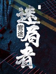 官途迷局txt