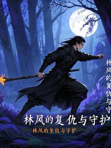 林风的小说