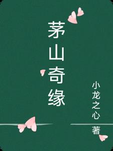 茅山奇术小说