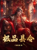极品县令小说