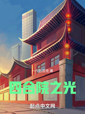 四合院之光一斤五百克的小说