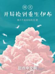 精灵:开局捡到重生伊布小说