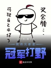 我师兄都是冠军打野阅读